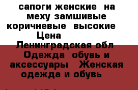 сапоги женские, на меху.замшивые.коричневые, высокие. › Цена ­ 2 900 - Ленинградская обл. Одежда, обувь и аксессуары » Женская одежда и обувь   